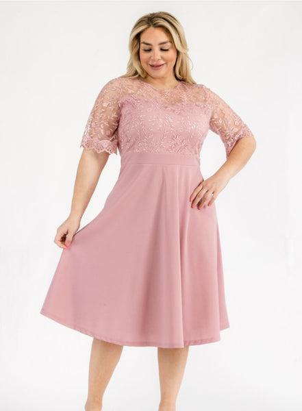 Blush floral embroiderd lace midi dress. Plus dress