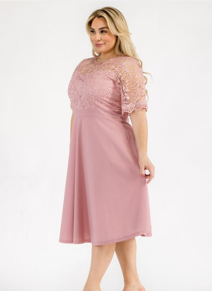 Blush floral embroiderd lace midi dress. Plus dress